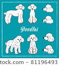 2 types of poodles (sideways, front, profile) with outline 81196493