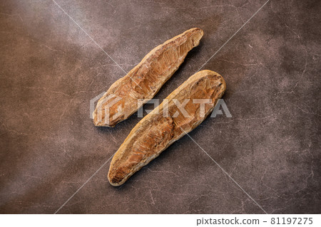 Fossils on marbled background Fossils on marbled background 81197275