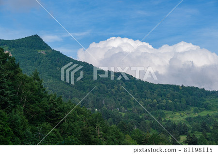 笠岳夏雲 81198115