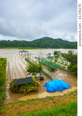 Rivers flooded by heavy rain and fields submerged in water 81198276