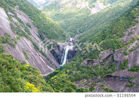 Scenery of Yakushima 81198504