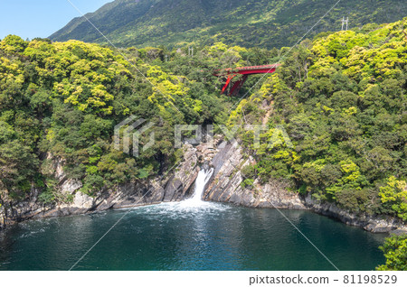 Scenery of Yakushima 81198529