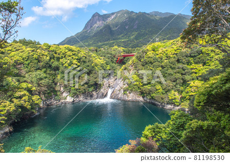 屋久島風光 81198530