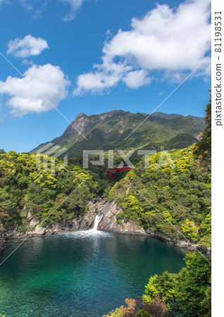 Scenery of Yakushima Scenery of Yakushima 81198531