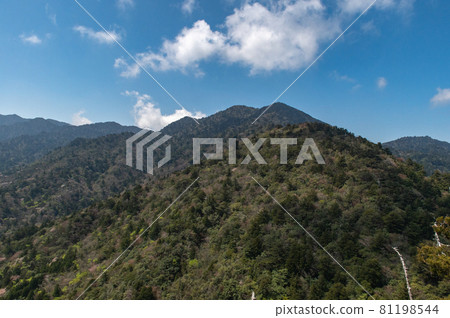Scenery of Yakushima Scenery of Yakushima 81198544
