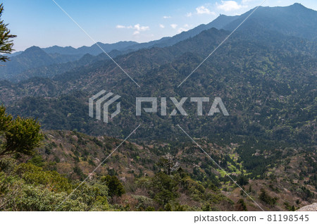 Scenery of Yakushima 81198545