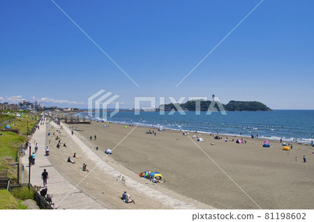 [藤澤市] Kugenumakaigan 81198602