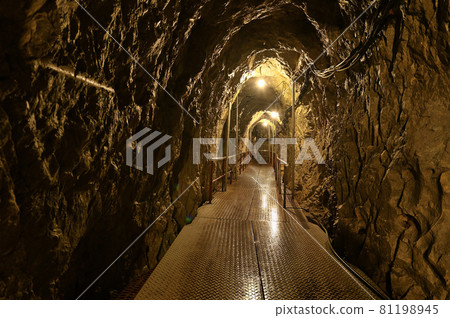 Inside the Inazumi Underwater Cave Inside the Inazumi Underwater Cave 81198945