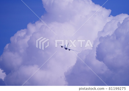 B737 who took off at Haneda Airport B737 who took off at Haneda Airport 81199275
