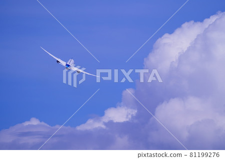 Dream liner who took off at Haneda Airport 81199276