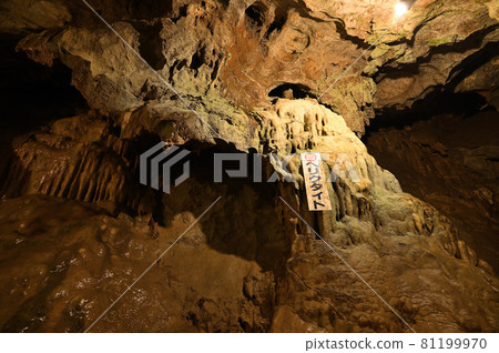 Inazumi Underwater Cave "Helictite" Inazumi Underwater Cave "Helictite" 81199970