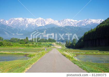 Beautiful rural scenery in the early morning 81200373
