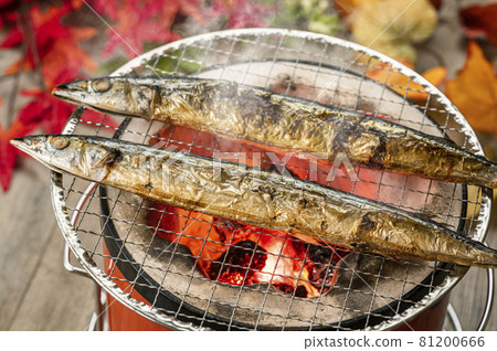 Grilled saury with salt pacific saury 81200666