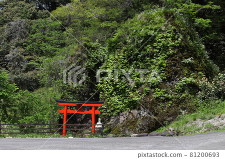 Meotoiwa, which was said to be a red torii gate and plants Meotoiwa, which was said to be a red torii gate and plants 81200693
