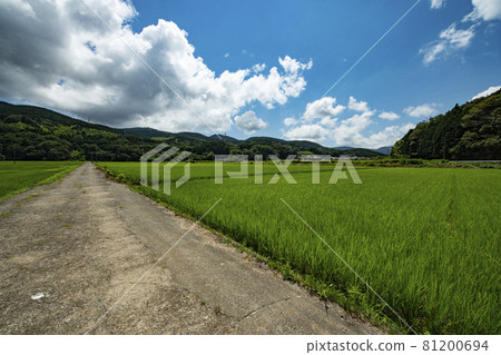 Countryside and farm road Countryside and farm road 81200694