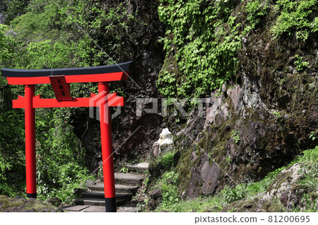 Red torii and Meotoiwa Red torii and Meotoiwa 81200695