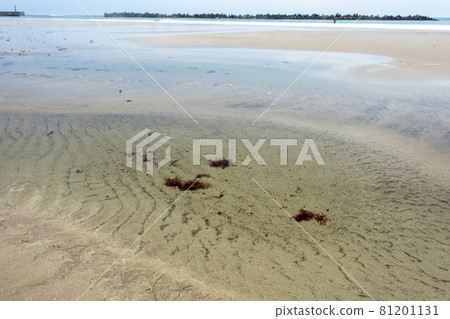 Hitachi City, Ibaraki Prefecture, on the beach near Aise Port Hitachi City, Ibaraki Prefecture, on the beach near Aise Port 81201131