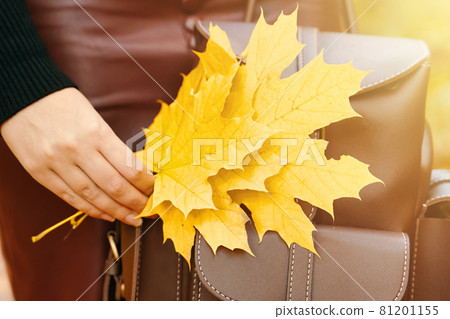 Woman with a backpack and foliage. 81201155