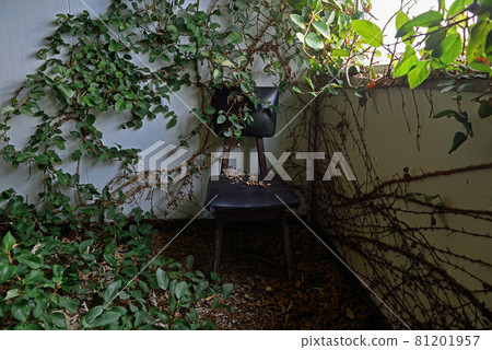 煤礦設施廢墟“辦公室廢墟” 煤礦設施廢墟“辦公室廢墟” 81201957