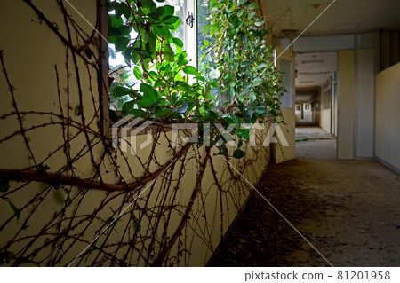 煤礦設施廢墟“辦公室廢墟” 81201958