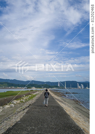 片面的海岸 81202468