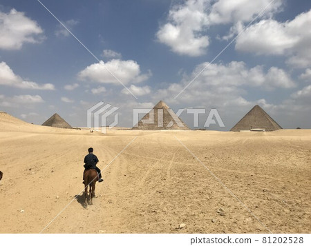 << Egypt >> A man riding a camel in the Cairo pyramids and desert << Egypt >> A man riding a camel in the Cairo pyramids and desert 81202528