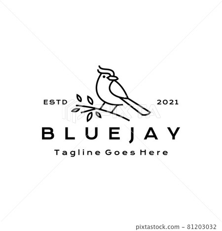 Bluejay Vector for Free Download