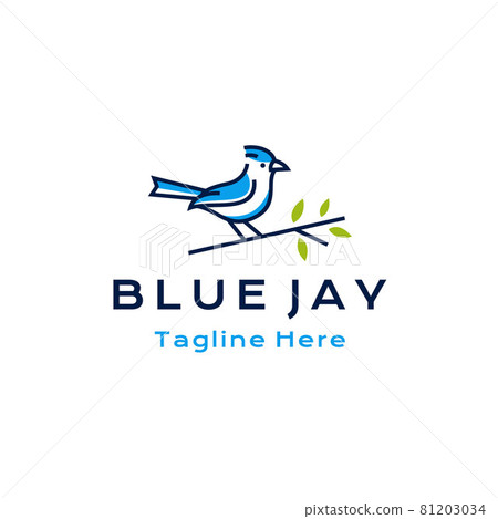 Blue jay bird logo design vector illustration 81203034