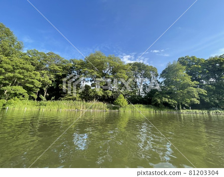 << Tokyo >> Shakujii Park Scenery from a pond boat 81203304