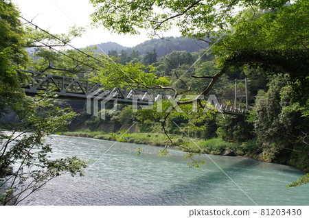 Mitake Gorge Promenade / Kaede Bridge 81203430