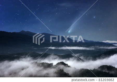 Meteors in forest. Meteors in forest. 81203662