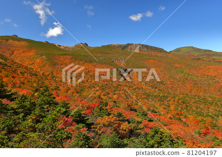 福島縣二本松市奧岳溫泉藥師岳全景公園的安田良山秋葉 81204197