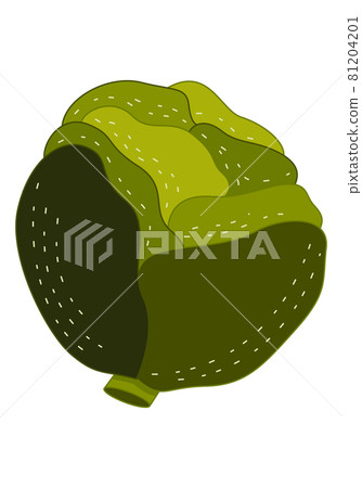 Vector illustration 81204201