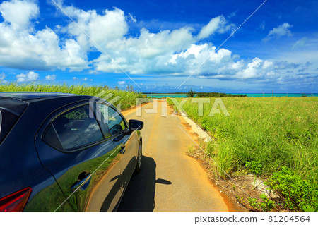 Okinawa Miyakojima Sugar cane field road leading to the beautiful sea Okinawa Miyakojima Sugar cane field road leading to the beautiful sea 81204564