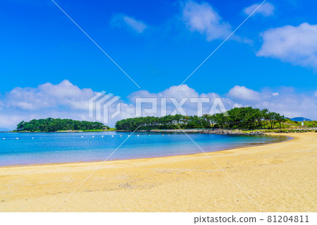 Cape Hato Beach [Karatsu City, Saga Prefecture] 81204811