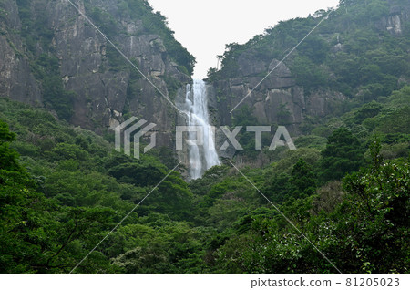 Funaki Falls Funaki Falls 81205023