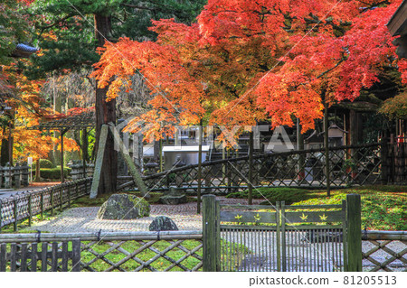 Raizan Sennyoji Daihioin Temple 81205513