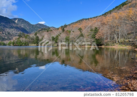 在藍天的背景下看到的深秋湯野湖景色@櫪木縣奧日光 在藍天的背景下看到的深秋湯野湖景色@櫪木縣奧日光 81205798