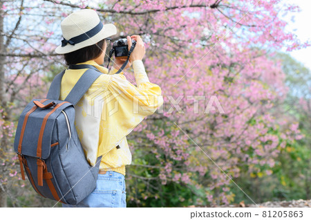 Back view of tourist woman traveling in Northern Thailand in winter season. Conceptual of woman lifestyle. Back view of tourist woman traveling in Northern Thailand in winter season. Conceptual of woman lifestyle. 81205863
