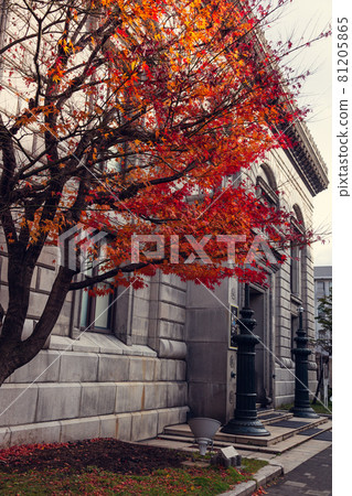 建築物和秋天的樹木 建築物和秋天的樹木 81205865