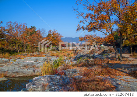 Arakawa, near Nagatoro Iwadatami, autumn scenery, autumn leaves scenery Arakawa, near Nagatoro Iwadatami, autumn scenery, autumn leaves scenery 81207418