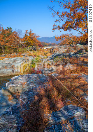 Arakawa, near Nagatoro Iwadatami, autumn scenery, autumn leaves scenery Arakawa, near Nagatoro Iwadatami, autumn scenery, autumn leaves scenery 81207419