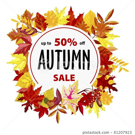 Autumn sale, promotional banner with discount Autumn sale, promotional banner with discount 81207923