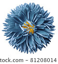 Watercolor turquoise aster flower isolated on a white background. close-up. Nature. 81208014