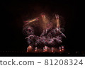 Nagaoka Fireworks (Star Mine) 81208324