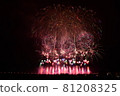 Nagaoka Fireworks (Star Mine) 81208325