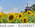 sunflower field in summer 81208907
