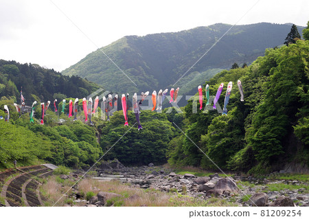 The carp streamers float along the banks of the Watarase River, bathed in the sun and the wind. They swim comfortably in the May wind. The carp streamers float along the banks of the Watarase River, bathed in the sun and the wind. They swim comfortably in the May wind. 81209254