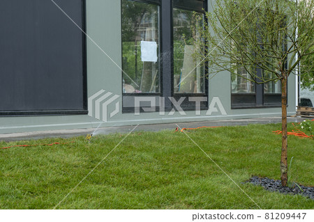 Automatic lawn irrigation system with orange hose. Automatic lawn irrigation system with orange hose. 81209447