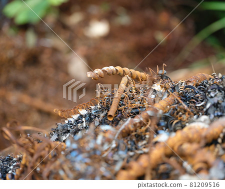Shavings piled up in the open 81209516